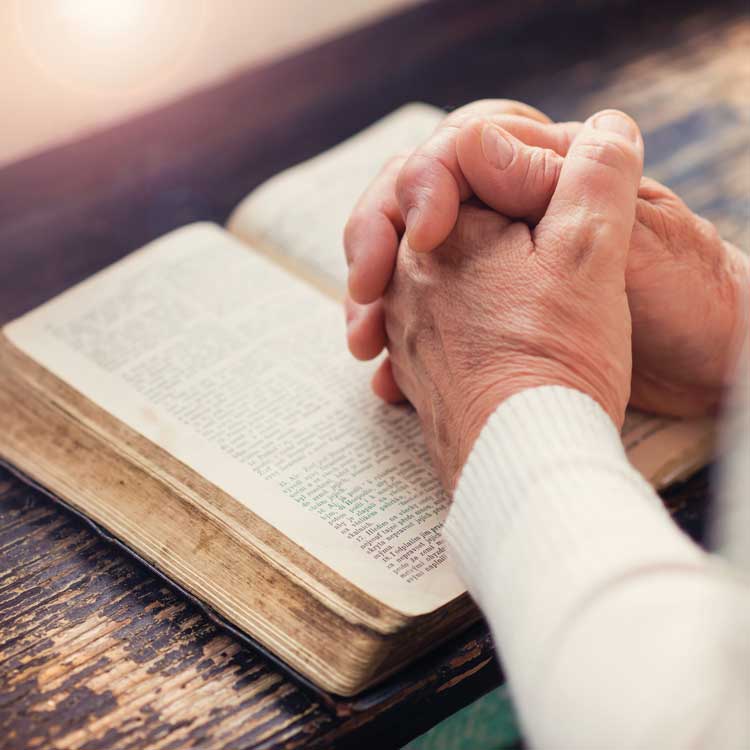 Thankful for all the blessings