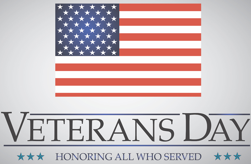 What can you do to celebrate Veterans Day?