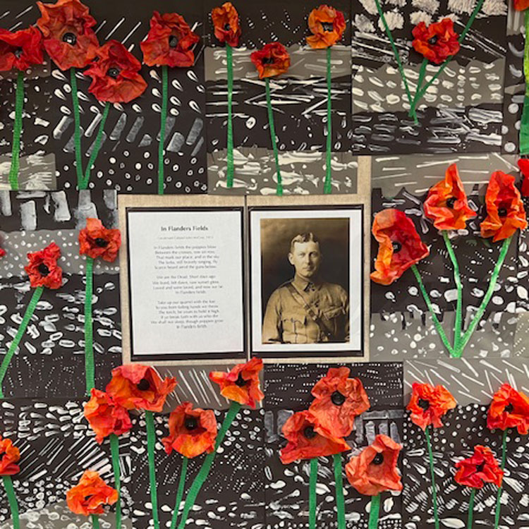 poppy display